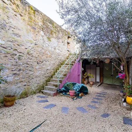 D'hã´tes Avec Vue Sur Loire - Fr-1-622-127 Chalonnes-sur-Loire