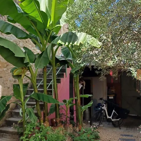 Couette-café D'hã´tes Avec Vue Sur Loire - Fr-1-622-127 Chalonnes-sur-Loire